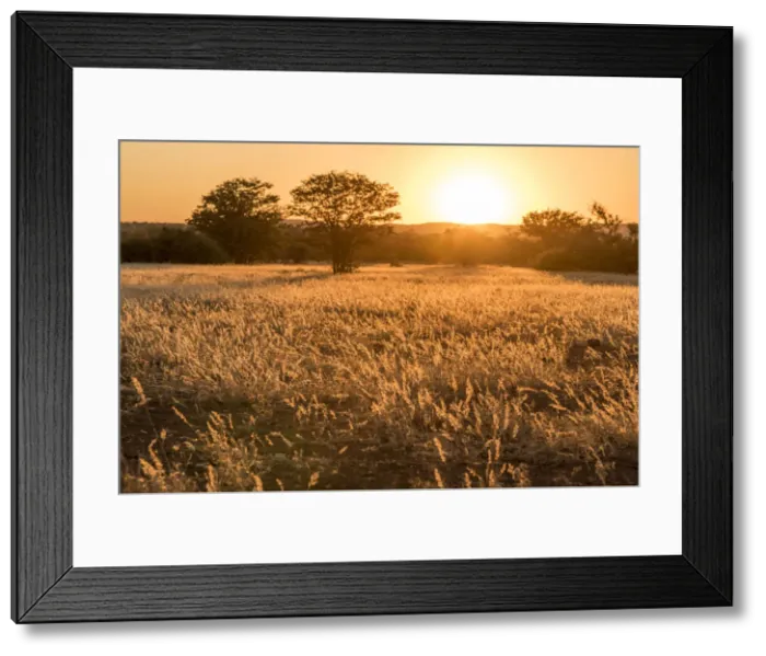 Framed Print : Africa, Namibia, Damara Land. Sunset Framed Print : Africa, Namibia, Damara Land. Sunset