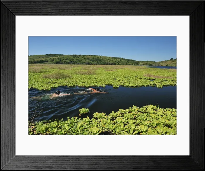 Framed Print : Boys swimming in lake Lagune, Nicaragua, Central America Framed Print : Boys swimming in lake Lagune, Nicaragua, Central America