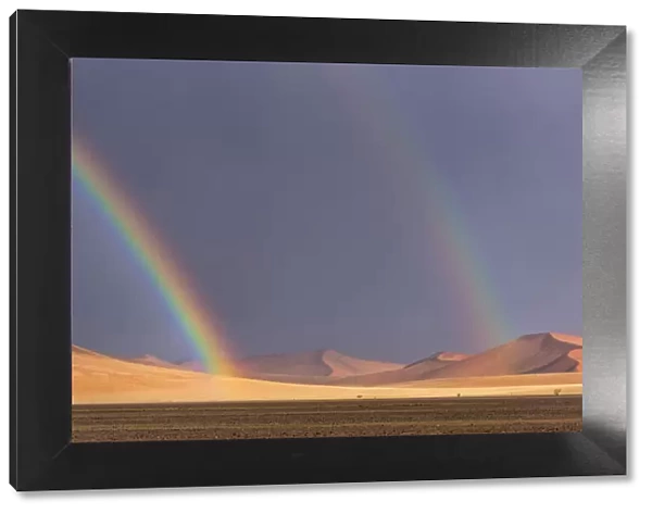 Africa, Namibia, Sossusvlei area. Thunderstorm with rainbows in the desert