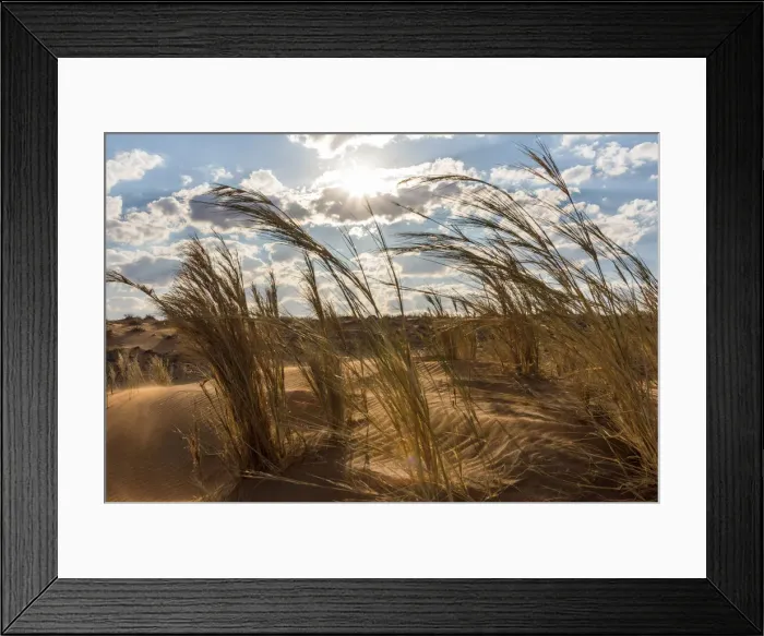 Framed Print : Africa, Namibia, Sossusvlei area. Grass on a dune at sunset