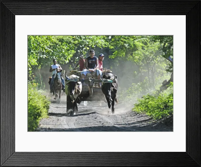 Framed Print : Workers on Ox cart near Leon, Nicaragua, Central America