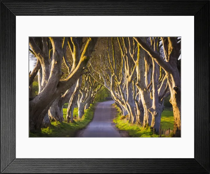 Framed Print : United Kingdom, Northern Ireland, County Antrim, Stranocum Framed Print : United Kingdom, Northern Ireland, County Antrim, Stranocum