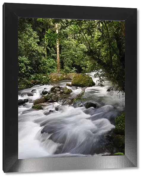 Caldera Creek in Boquete, Panama, Central America