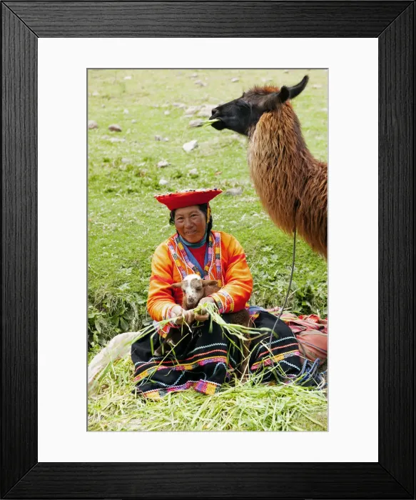 Framed Print : South America, Peru, Cusco. A Quechua woman with a llama in traditional dress - wearing Framed Print : South America, Peru, Cusco. A Quechua woman with a llama in traditional dress - wearing