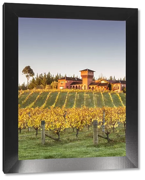 Highfield estate winery and vineyards, Waihopai Valley, Blenheim, Marlborough, South