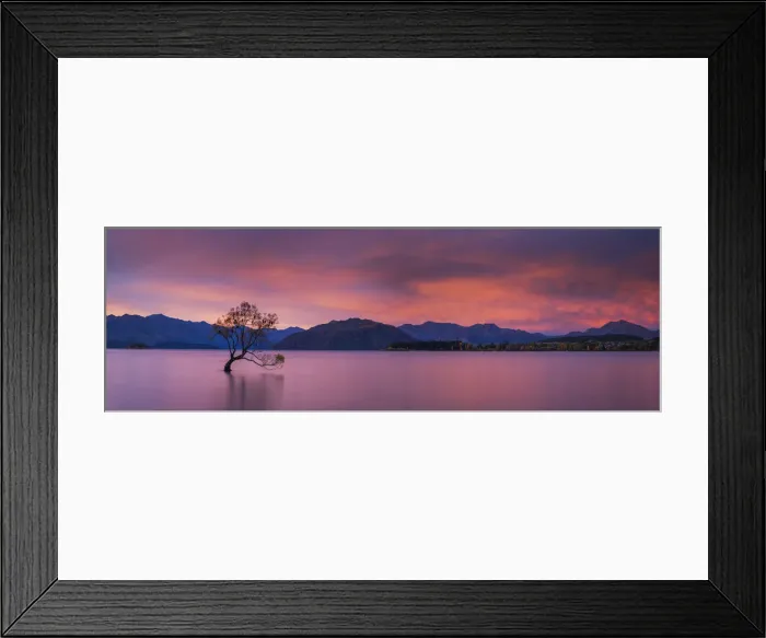 Framed Print : Wanaka Tree at Sunset, Lake Wanaka, New Zealand Framed Print : Wanaka Tree at Sunset, Lake Wanaka, New Zealand