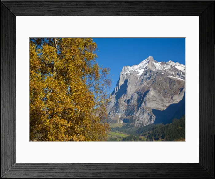 Framed Print : Autumn Color & Alpine Meadow, Eiger & Grindelwald, Berner Oberland, Switzerland Framed Print : Autumn Color & Alpine Meadow, Eiger & Grindelwald, Berner Oberland, Switzerland