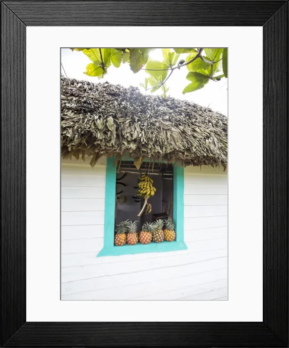 Framed Print : Small hut selling fruit, Vinales, Pinar del Rio Province, Cuba Framed Print : Small hut selling fruit, Vinales, Pinar del Rio Province, Cuba