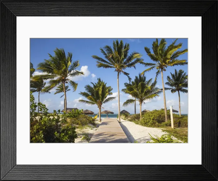 Framed Print : Cuba, Jardines del Rey, Cayo Guillermo, Playa El Paso, Wooden walkway to beach Framed Print : Cuba, Jardines del Rey, Cayo Guillermo, Playa El Paso, Wooden walkway to beach