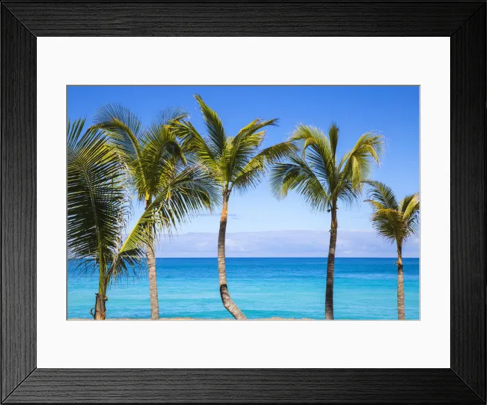 Framed Print : Cuba, Varadero, Palm trees on Varadero beach