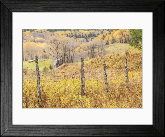 Framed Print : Canada, Quebec, Saguenay-Lac Saint-Jean Region, Saguenay Fjord, Ste-Rose-du-Nord, farm Framed Print : Canada, Quebec, Saguenay-Lac Saint-Jean Region, Saguenay Fjord, Ste-Rose-du-Nord, farm