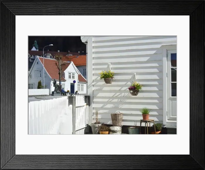 Framed Print : Flowers in a traditional fishermans house of Sandviken, Bergen. Norway Framed Print : Flowers in a traditional fishermans house of Sandviken, Bergen. Norway