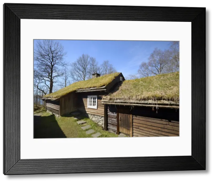 Framed Print : Traditional wooden houses with grass rooftops at Hordamuseet, an open-air museum at Fana