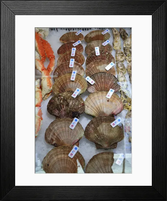 Framed Print : Seashells in the fish market. Bergen. Norway Framed Print : Seashells in the fish market. Bergen. Norway