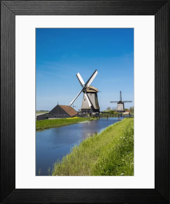 Framed Print : Netherlands, North Holland, Schermerhorn. Historic windmills at Museummolen Schermerhorn Framed Print : Netherlands, North Holland, Schermerhorn. Historic windmills at Museummolen Schermerhorn