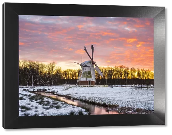 Witte Molen (White Mill) Dutch windmill in winter at sunset, Harn, Groningen, North