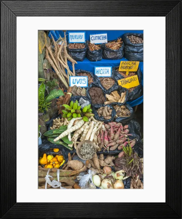Framed Print : Medicinal herbs and traditional medicine for sale in the Belen Market, Iquitos, Loreto Framed Print : Medicinal herbs and traditional medicine for sale in the Belen Market, Iquitos, Loreto