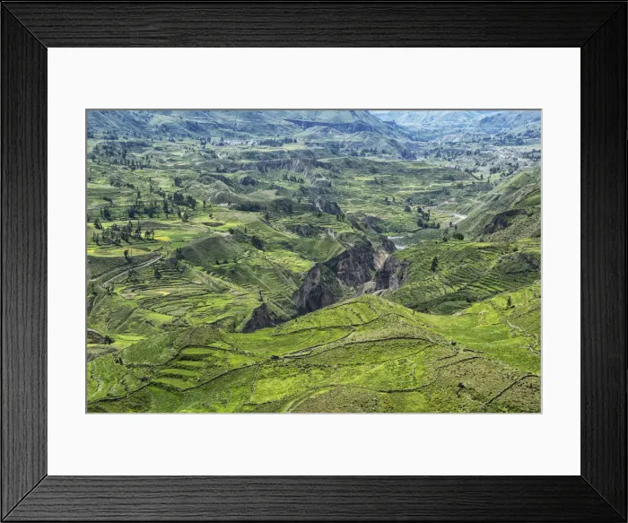 Framed Print : South America, Peru, Colca Canyon Framed Print : South America, Peru, Colca Canyon
