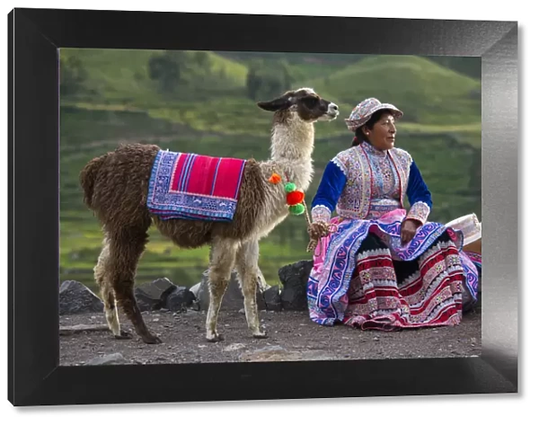 South America, Peru, Colca Canyon, local native woman with Lama