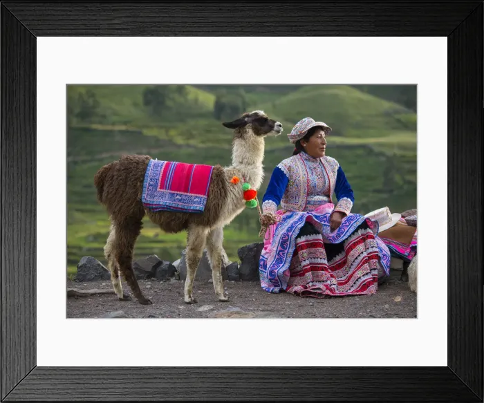 Framed Print : South America, Peru, Colca Canyon, local native woman with Lama Framed Print : South America, Peru, Colca Canyon, local native woman with Lama