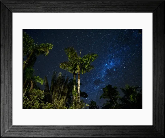 Framed Print : South America, Peru, Amazonia, South Manu National Park, night sky, UNESCO World Framed Print : South America, Peru, Amazonia, South Manu National Park, night sky, UNESCO World