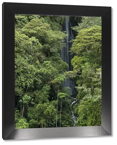 South America, Peru, Manu National Park, waterfall in cloud forest
