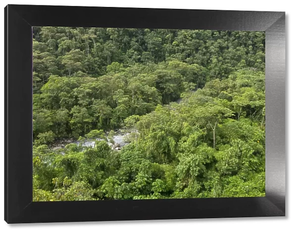 South America, Peru, Amazonia, Manu National Park, UNESCO World Heritage, cloud forest
