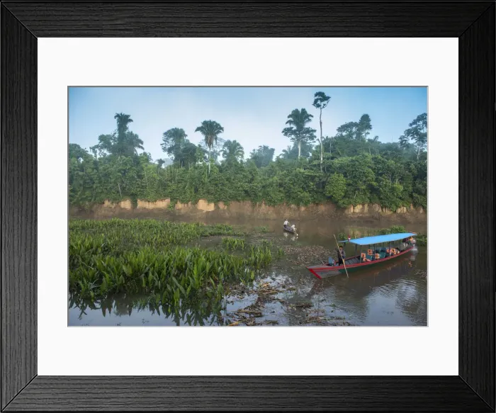 Framed Print : South America, Peru, Amazonia, Manu National Park, UNESCO World Heritage Framed Print : South America, Peru, Amazonia, Manu National Park, UNESCO World Heritage