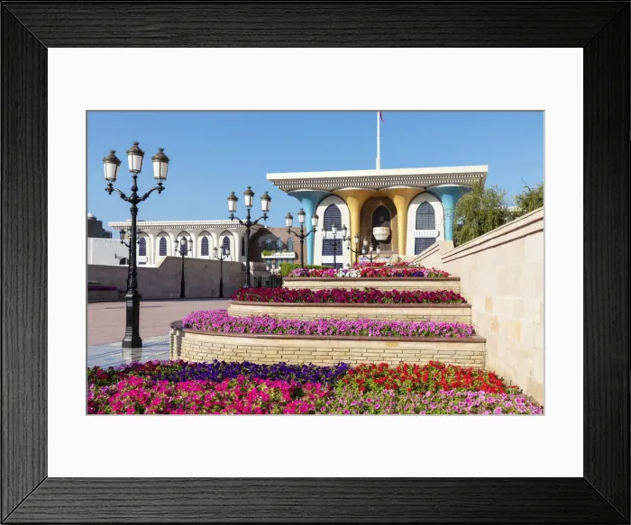Framed Print : Middle East, Oman, Muscat. Rows of colourful flowers planted in front of Al Alam Framed Print : Middle East, Oman, Muscat. Rows of colourful flowers planted in front of Al Alam