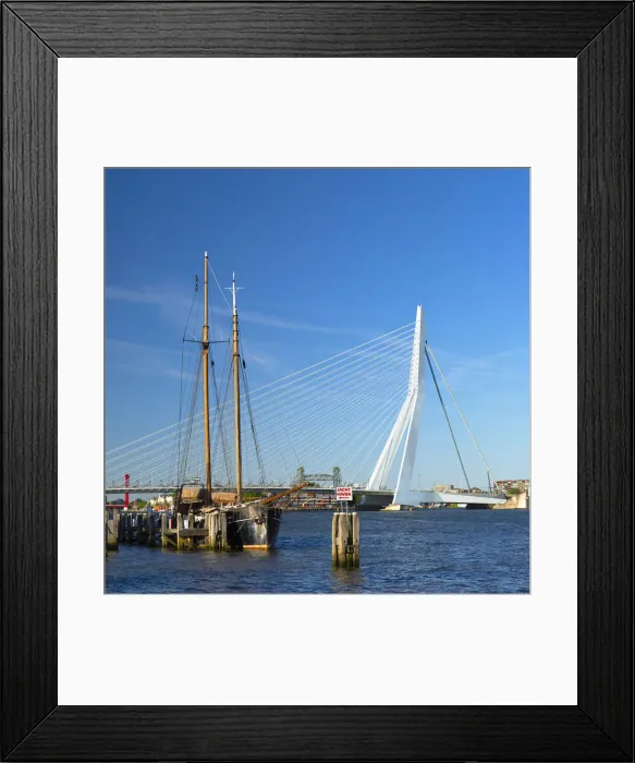 Framed Print : Erasmus Bridge (Erasmusbrug) and skyline, Rotterdam, Zuid Holland, Netherlands Framed Print : Erasmus Bridge (Erasmusbrug) and skyline, Rotterdam, Zuid Holland, Netherlands