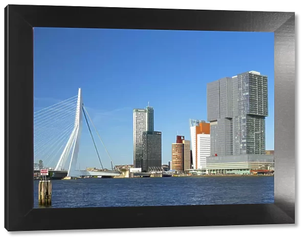 Erasmus Bridge (Erasmusbrug) and skyline, Rotterdam, Zuid Holland, Netherlands
