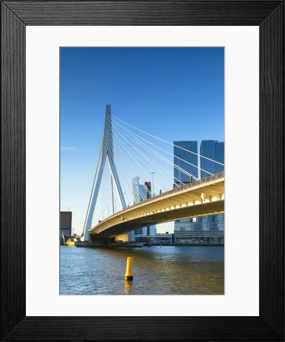 Framed Print : Erasmus Bridge (Erasmusbrug), Rotterdam, Zuid Holland, Netherlands Framed Print : Erasmus Bridge (Erasmusbrug), Rotterdam, Zuid Holland, Netherlands