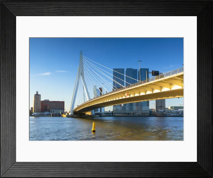 Framed Print : Erasmus Bridge (Erasmusbrug), Rotterdam, Zuid Holland, Netherlands Framed Print : Erasmus Bridge (Erasmusbrug), Rotterdam, Zuid Holland, Netherlands