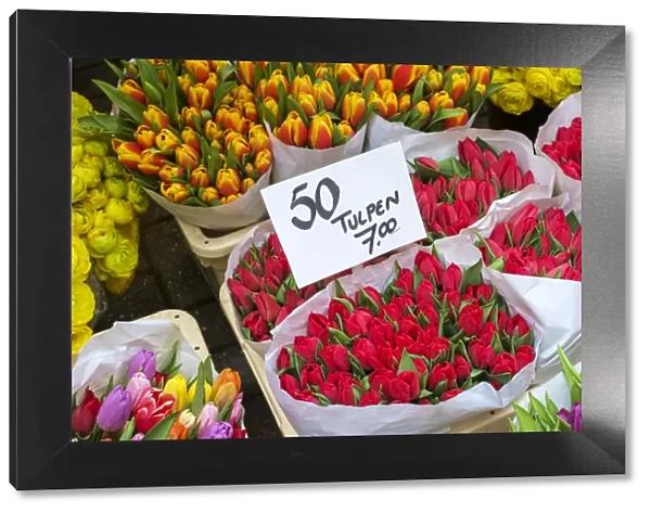 Bouquets of tulips for sale in the Bloemenmarkt floating flower market, Amsterdam