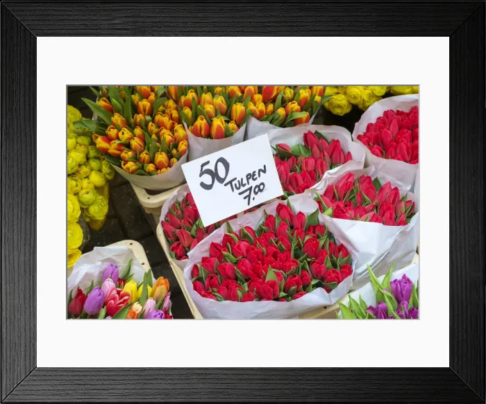 Framed Print : Bouquets of tulips for sale in the Bloemenmarkt floating flower market, Amsterdam Framed Print : Bouquets of tulips for sale in the Bloemenmarkt floating flower market, Amsterdam