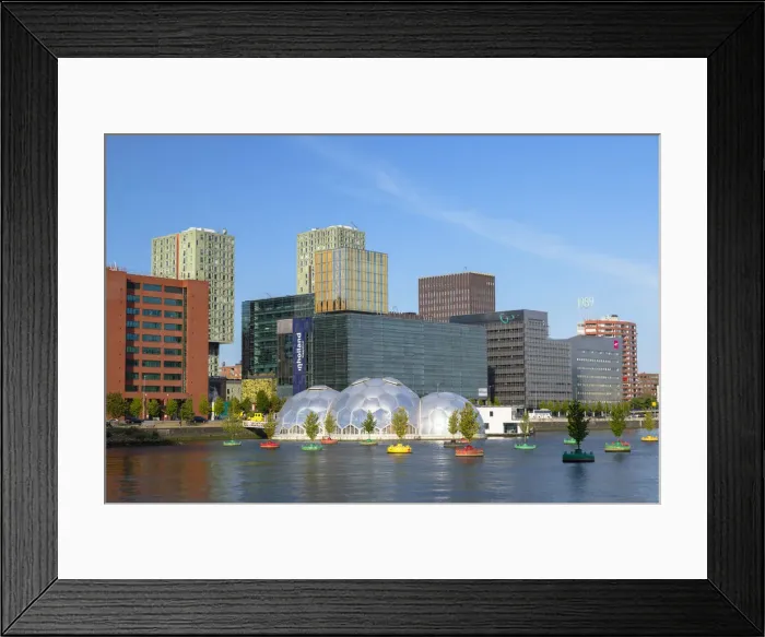 Framed Print : Modern architecture and floating forest, Rotterdam, Zuid Holland, Netherlands Framed Print : Modern architecture and floating forest, Rotterdam, Zuid Holland, Netherlands