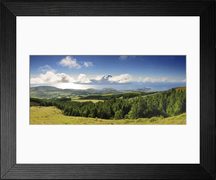 Framed Print : The cryptomerias forests of Faial with the Volcano of Pico island on the horizon