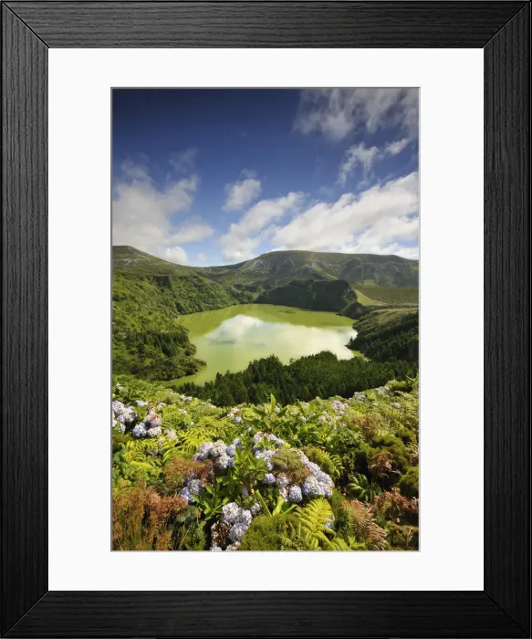 Framed Print : Crater lake with hydrangeas in the foreground, Caldeira Funda. Azores islands, Portugal Framed Print : Crater lake with hydrangeas in the foreground, Caldeira Funda. Azores islands, Portugal