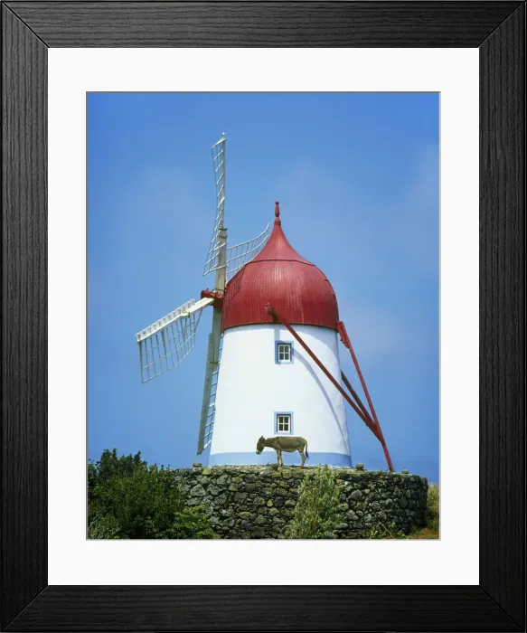 Framed Print : A traditional windmill in Guadalupe. Graciosa, Azores islands, Portugal