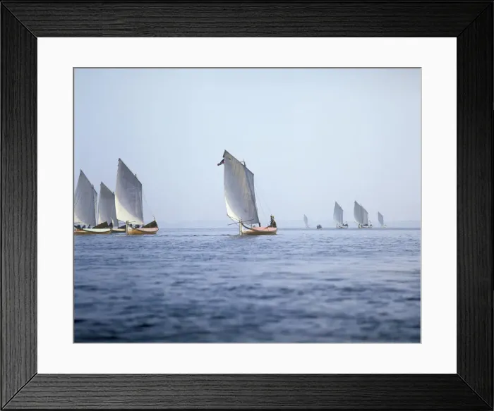 Framed Print : Typical boats (moliceiros) of the Ria de Aveiro Framed Print : Typical boats (moliceiros) of the Ria de Aveiro