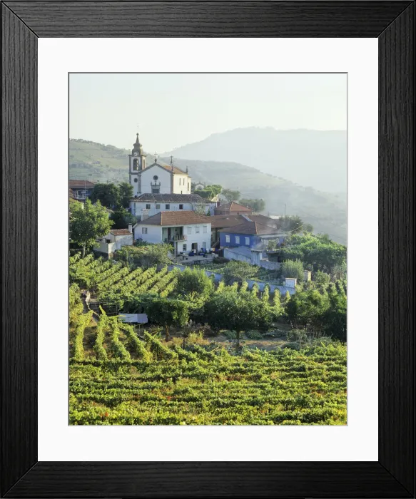 Framed Print : Vineyards at the little village of Sao Miguel de Lobrigos, on the world famous Port Framed Print : Vineyards at the little village of Sao Miguel de Lobrigos, on the world famous Port