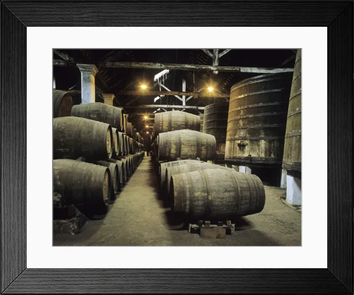 Framed Print : The Casa do Douro wine cellars, Regua, Portugal Framed Print : The Casa do Douro wine cellars, Regua, Portugal