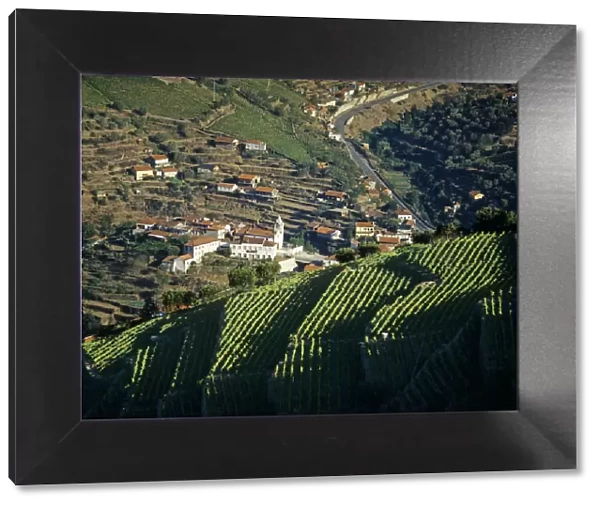 Vineyards at the Douro region, the origin of the world famous Port wine