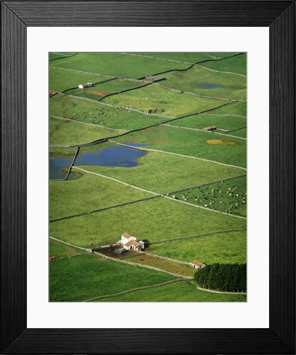 Framed Print : Pasture fields at Vale da Achada. Terceira, Azores islands, Portugal Framed Print : Pasture fields at Vale da Achada. Terceira, Azores islands, Portugal