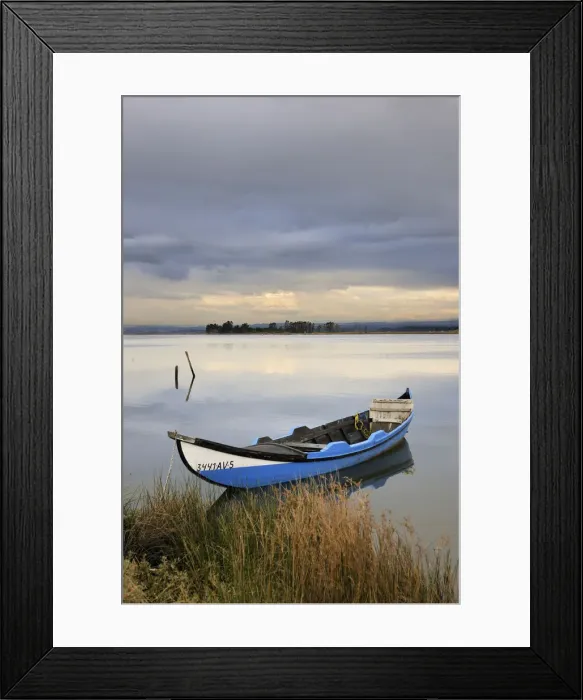 Framed Print : Traditional boats in the Ria de Aveiro, Beira Litoral, Portugal Framed Print : Traditional boats in the Ria de Aveiro, Beira Litoral, Portugal