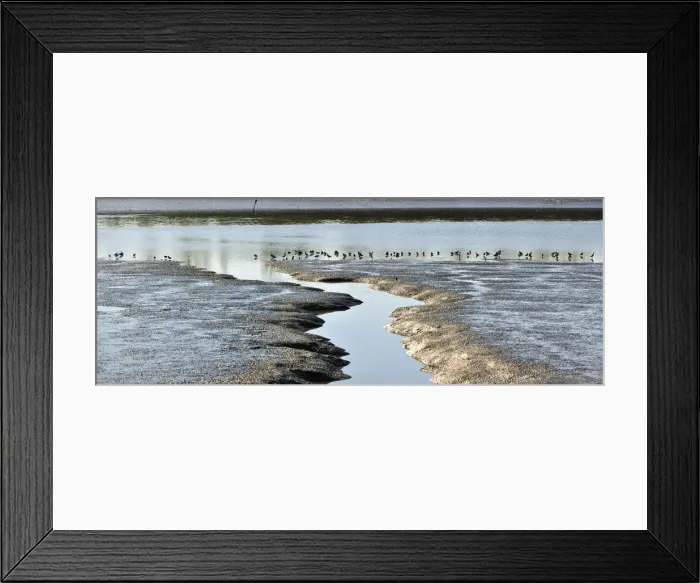 Framed Print : Birds and marshes in the Sado river, Setubal, Portugal Framed Print : Birds and marshes in the Sado river, Setubal, Portugal
