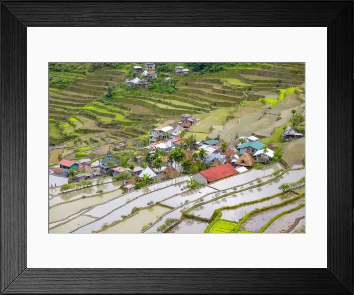 Framed Print : Batad village and flooded rice fields during early spring rice planting season, Banaue