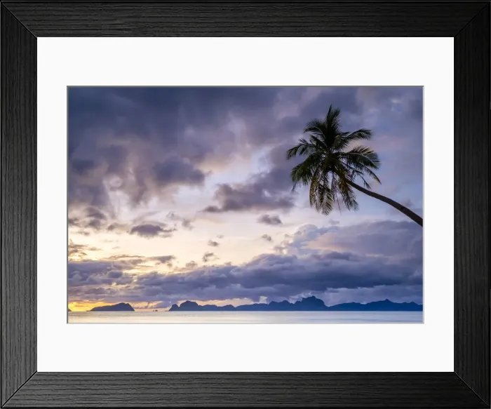 Framed Print : Palmtree at sunset on Dolarog Beach, El Nido, Palawan, Philippines Framed Print : Palmtree at sunset on Dolarog Beach, El Nido, Palawan, Philippines
