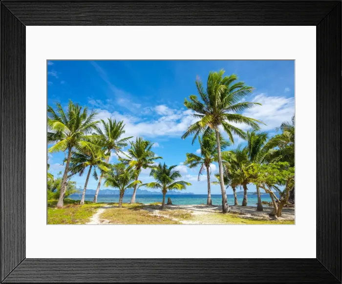 Framed Print : Palm trees and blue sky on Malcapuya Island, Culion, Palawan, Philippines Framed Print : Palm trees and blue sky on Malcapuya Island, Culion, Palawan, Philippines