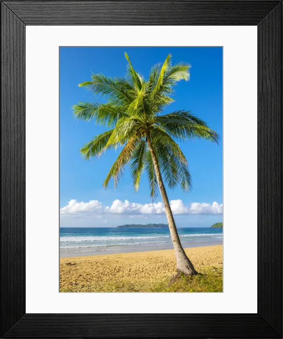 Framed Print : Palm tree on Nacpan Beach, El Nido, Palawan, Philippines Framed Print : Palm tree on Nacpan Beach, El Nido, Palawan, Philippines